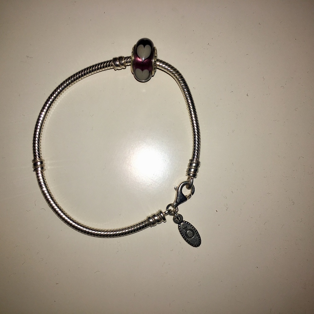 Pandora Charm Bracelet